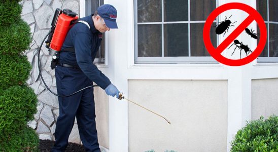 Seydikemer Böcek İlaçlama böcek ilaçlama ve haşere kontrolü — ilaclama-tr.com